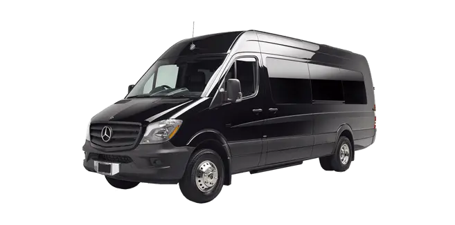Luxury Vans