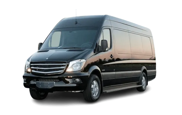 Tourist Minibuses