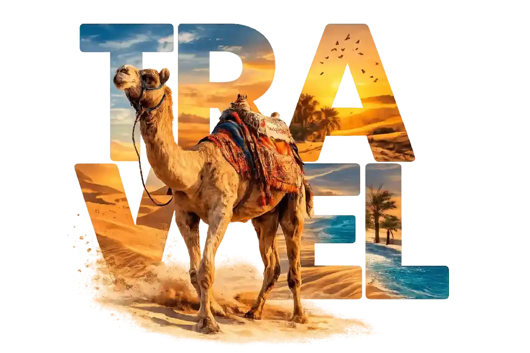 Majestic Confort Travel